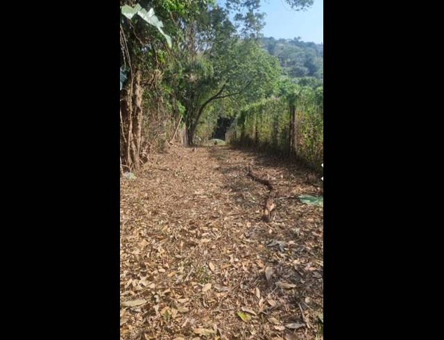 LAND FOR SALE IN PADFIELD PARK